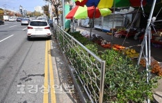 화단 있는데 펜스까지…