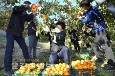 이웃사랑 위한 달콤한 수확