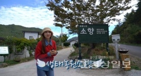 힐링 농장에서 체험과 숙박까지, 생태농원 소향