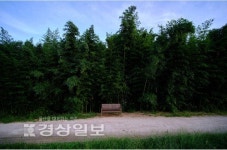 정우모·박진영 2人 사진전 태화강 아다지오
