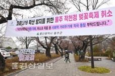 올해도 벚꽃과 거리두기 해주세요