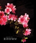 [이재명의 계절한담(閑談)(198)]영산홍 꽃잎에 산이 비치다