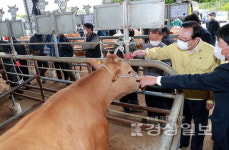 송철호 울산시장 축산농가 간담회…환경 친화형 농장 실현 노력을