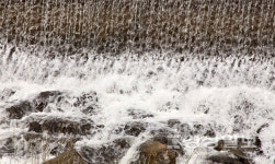 입암들, 태화강 댐 역할…개발시 홍수피해 우려
