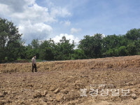 울산 중구 성안동서 5000여㎡ 불법 성토 적발