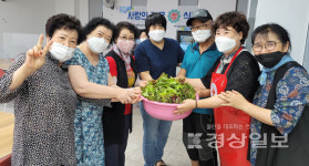울산 학성경로당 회원,  직접 수경재배한 상추 무료급식소 어르신들에게 제공