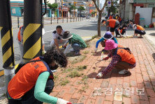 울산 동구 일산동 통장회, 일산동 관내 환경정비 실시