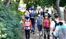 비대면 솔마루길 걷기대회 시작…19일까지 계속