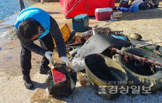 대한수중환경보호협회, 13일 울주군 서생면 간절곶에서 해양수중정화활동 벌여