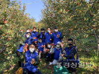 현대중공업 사내동호회, 17년째 얼음골 사과따기 봉사