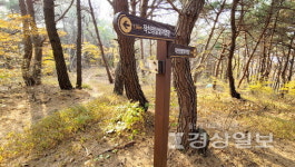 51억 들인 탐방로, 이용객 없어 텅텅