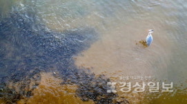 뭉쳐야 산다