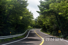 울산 남구 은월로~남산로 연결도로 우선 개설해야