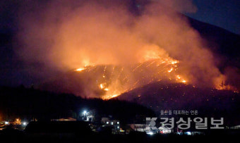 울산 울주군 언양읍 직동리 야산에 산불 발생