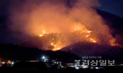 울산 울주군 언양읍 직동리 야산에 산불 발생