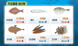 해수온 상승, 양식시설 줄면서울산 미역·다시마 생산량 급감