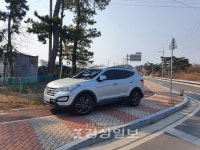 울산 성안동 텃밭 활성화에 인근 불법주정차 증가 부작용