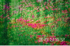 울산참빛사진동호회 창립 40돌 기념전시