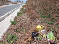 이예로 개통후 도로 곳곳 쓰레기로 몸살