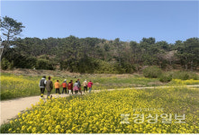 푸른울타리장애인주간보호시설 성인 발달장애인, 장애인의 날 기념 무장애길 걷기 체험 진행