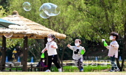 화창한 봄날의 동심