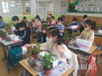 울산 동천초등학교, 현장체험학습 운영