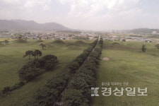 경주 금척리 신라묘 조사 40년만에 보고서 발간