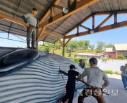울산남구 육아종합지원센터, 우리마을 고래반장 진행