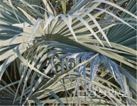 15일부터 제26회 울산미술대전 수상작 전시회