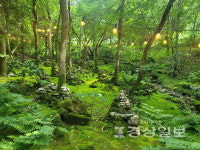 [정홍가의 정원이야기(28)]요정이 사는 초록 숲 제이드가든