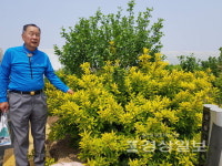 [장성운의 울산현대史]울산이 낳은 세계적 무궁화 박사…'나라꽃'연구에 일생 바쳐