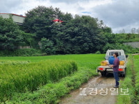 두북농협, 친환경 쌀 생산단지 등에 드론방제 실시