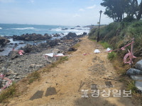 대왕암공원 해안산책로 등 태풍피해 늑장복구