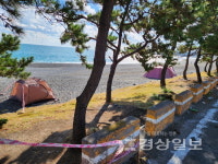 강동 몽돌해변 알박기텐트 기승