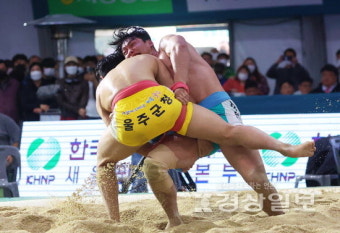 천하장사 씨름대축제 성료 김민재·노범수 '장사'