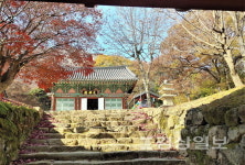 [배혜숙의 한국100탑(78)]영동 영국사 삼층석탑