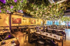 술집 창업 프랜차이즈 지금, 보고싶다, 창업 프로모션 진행