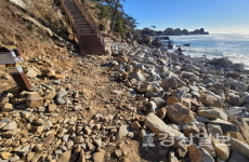 울산 동구 대왕암공원 해안 산책로, 암석에 뒤덮여 안전사고 우려