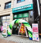 무인 애견 카페 창업 버블독스, 로열티 면제 프로모션