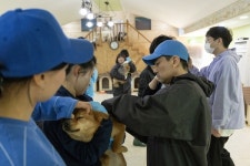 메디엘동물병원, 유기동물 보호소 KDS 레인보우쉼터에 의료 봉사활동 펼쳐