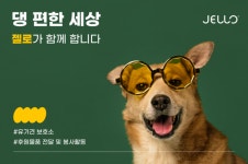 주식회사 젤로, 유기견 보호 센터에서 봉사활동