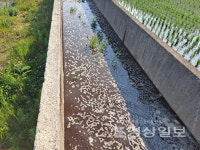 덕원농장, 한달만에 또 폐수 유출…처벌 강화 목소리