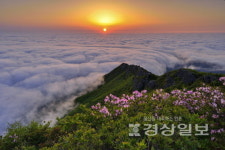 울산의 생물·울주의 풍광, 앵글에 담아보세요