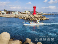 부산 기장군, 바다사막화 방지 위한 사업 다각도로 추진