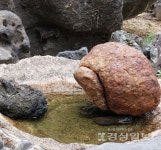癸卯處暑前日於雲南張先生宅內石龜像感事(계묘년 처서 앞날 운남 장선생댁내에 돌거북상을 보고 느낌을 적다)-이토민