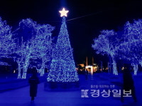경주엑스포 11m 대형 트리 겨울밤 밝힌다