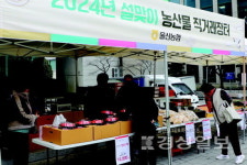 농협 울산본부 앞 직거래장터 운영
