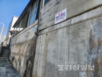 구멍난 보도블록에 붕괴위험 담장까지…위험천만 보행로
