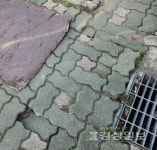 구멍난 보도블록에 붕괴위험 담장까지…위험천만 보행로
