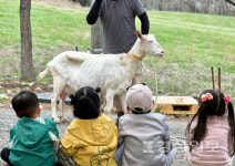 울산광역시 다문화가족지원 거점센터, 울산 관내에 거주하는 국제결혼가족 20가정 대상 함께가요, 다다투어 진행